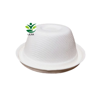 100% biodégradable jetable canne à sucre bagasse pulpe moulage tasses à crème glacée 2 OZ blanc sans PFAS avec couvercle pour les fêtes