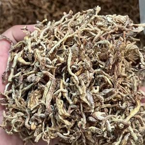 गर्म बिक्री बारीक प्रसंस्कृत सूखे मछली खाद्य मिट्टी के कीड़े - Product Image 4