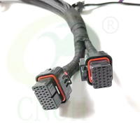 Faisceau de câbles de moteur principal LS1 LS6 pour Holley EFI ECU - LS Swap Wiring Kit