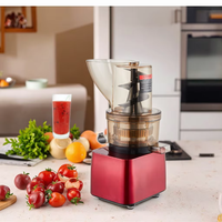 Petite machine portative de fabrication de jus naturel Presse-agrumes lent Moteur électrique à courant alternatif pour usage domestique extérieur d'hôtel pour les affaires de jus