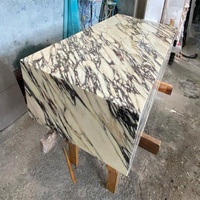 Nouveau Design haut de gamme italien luxe personnalisé Rose calacata Viola marbre rectangulaire plinthe bloc Table basse