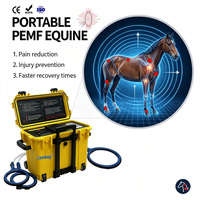 Appareil de magnétothérapie PEMF pour chevaux à intensité de champ magnétique, avec boîte de récupération des tissus mous à boucle longue pour vétérinaires équins