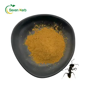 Black Ants Extract Powder Natural Black Ants Extract Powder Pure Black Ant Extract