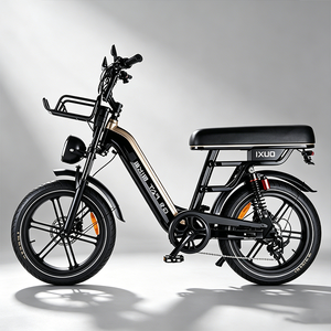 Bicicleta Eléctrica de Montaña DO-TOP Estilo Etro con Llantas Gruesas de 20 Pulgadas, Motor de 250W 48V de Litio con Motor Trasero sin Escobillas de 15AH, 7 Velocidades, Bicicleta Todoterreno Hidráulica - Product Image 1