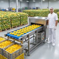 Máquina Cortadora de Mango de 1-3T/H, Máquina de Corte de Frutas para Soluciones de Procesamiento de Mango