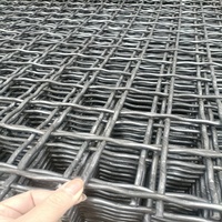 Maille ondulée de qualité supérieure pour tamis de machine à laver le sable