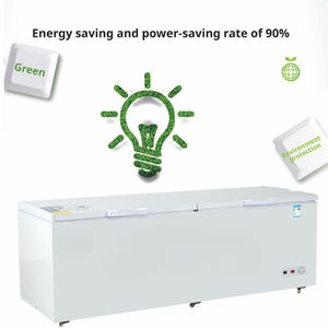 Congélateur Commercial Rapide à Double Porte Vitrée pour Poisson et Crème Glacée, Réfrigérateur et Congélateur pour la Maison - Offre Spéciale - Product Image 3