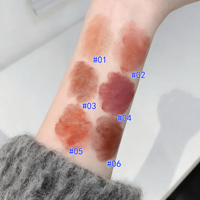 Nouveau Rouge à Lèvres Hydratant Rose Uni Imperméable avec Formule Crème Minérale, Étiquetage Personnalisé
