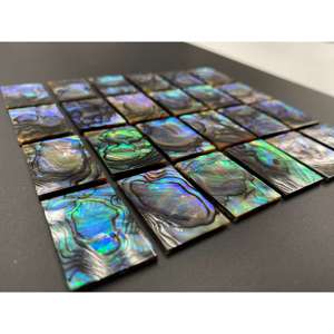 Natural <b>Abalone</b> <b>Shell</b> Rectangle 12x16mm Flat For Crystal Decorations - Product Image 1