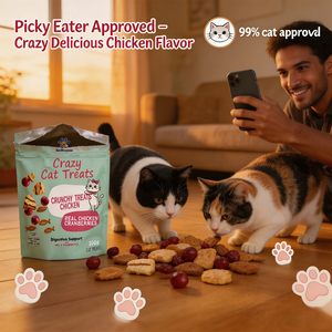 Golosinas Naturales de Catnip para Gatos con Logotipo Personalizado OEM/ODM - Sabor Crujiente a <span class=keywords><strong>Pollo</strong></span> y Frambuesa, Salud Digestiva Probiótica, Sin Maíz/Soya - Product Image 4