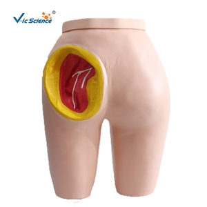 Bán Hot Nâng Cao Tiêm Bắp Tiêm Đào Tạo Nhân Tạo Mông Mô Hình - Product Image 4