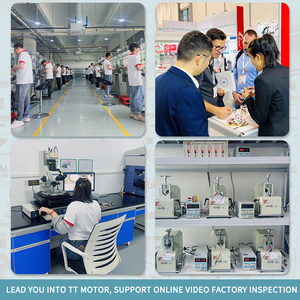 TT động cơ nhà sản xuất 3V <span class=keywords><strong>6V</strong></span> 12V Kích thước nhỏ 12 mét Worm Gear Motor N30 DC động cơ bàn chải nam châm vĩnh cửu - Product Image 5