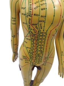 नरम pvc 52 सेमी मानव एक्यूपंक्चर मॉडल बिंदु स्पष्ट रूप से चीनी चिकित्सा शिक्षण के लिए आधार निर्धारित बिंदु - Product Image 3