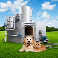 Incinérateur d'animaux sans fumée avec moteur et pompe pour le traitement des déchets avicoles agricoles 380V/220V 2.2kW