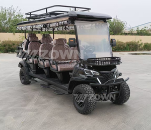 Carrito de Golf Eléctrico Económico de 2 Plazas, Batería de Plomo-Ácido de 48V, Luz LED Impermeable, Logotipo Personalizable, Apto para Campos de Golf y Uso Doméstico - Product Image 1
