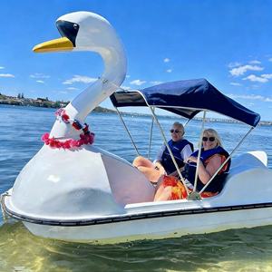 Bateau à pédales cygne 2 places en fibre de verre pas cher pour location en <span class=keywords><strong>parc</strong></span> - Product Image 2