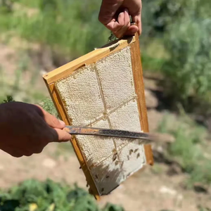 <span class=keywords><strong>Poudre</strong></span> de miel déshydratée naturelle en sachet, emballée en vrac, saveur pure améliorée, <span class=keywords><strong>poudre</strong></span> de miel pour aliments et boissons, arôme de miel naturel - Product Image 3