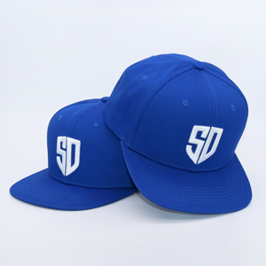 Personalizado bordado nuevo para hombre ala plana Bill Flatbill Snap Back Snapback Gorras ajustadas gorras sombreros para hombres Hombre con logotipo - Product Image 3