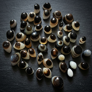 Yeux shiva de petite taille, yeux - Product Image 3