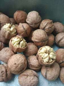 Noix blanches fraîches biologiques du Plateau du Yunnan-Guizhou, fabricant de haute qualité de noix du Yunnan, usine d'origine - Product Image 3