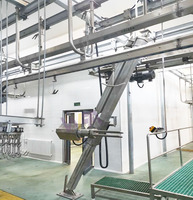 Ligne d'abattage de moutons de vente chaude avec équipement d'épluchage de bétail de machine d'enlèvement de peau de chèvre d'abattoir d'agneau