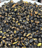 Snacks de Soja Negra Seca con Grano Verde, Crujientes y Horneados, Altos en Proteínas, Sabor Salado, a Granel, Snack Asiático