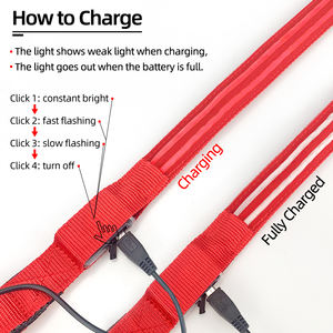 USB ricaricabile incandescente sicurezza LED guinzaglio del cane per camminare il cane di notte - Product Image 6
