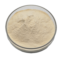 Protéine de maïs soluble dans l'eau de haute qualité 99% Poudre de peptide de maïs de qualité alimentaire Complément nutritionnel