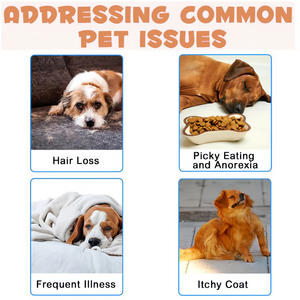 ผลิตภัณฑ์เสริมสุขภาพสุนัขและแมวน้ำยาเคลือบผิวหยดของเหลวเพื่อสุขภาพผิวเพื่อการผลัดและภูมิแพ้และบรรเทาอาการคัน - Product Image 5