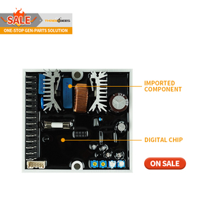 เครื่องกำเนิดไฟฟ้า AVR <span class=keywords><strong>DSR</strong></span> คุณภาพสูงสำหรับเปลี่ยนเครื่องกำเนิดไฟฟ้าแบบไม่มีแปรงที่ผลิตในประเทศจีน - Product Image 1