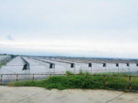 Film plastique commercial multi-volets pour serres, anti-UV, anti-goutte, anti-buée, pour la culture de légumes et de fruits