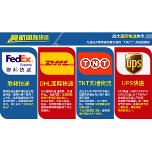 Livraison express internationale par avion vers la Suisse, la Finlande, le Japon, Singapour, la Corée du Sud, la Malaisie avec un poids de 100 g - Product Image 2