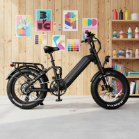 Vélo électrique tout-terrain à suspension haute performance OEM à cadre bas pour la vente