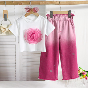 Nuovo Completo Estivo per Ragazze, Set <span class=keywords><strong>con</strong></span> Rosa <span class=keywords><strong>Blu</strong></span> Tridimensionale, Pantaloni Larghi in Denim Sfumato, Set Due Pezzi <span class=keywords><strong>con</strong></span> Stampa a Caldo di Stelle - Product Image 1