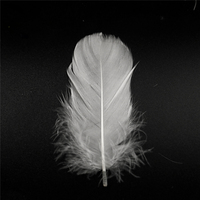 Vente en gros 2-4cm 4-6cm 10%-95% remplissage doux naturel blanc plumes de canard matériel de remplissage 90% blanc plumes d'oie en vente