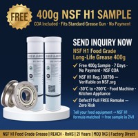 Graisse longue durée de qualité alimentaire NSF H1 400g Reg138798 pour presse à huile, presse-agrumes, machine à glace, roulement de bouilloire, REACH RoHS, OEM, usine sur mesure
