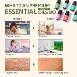 Essential <strong>Oil</strong> <strong>Set</strong> Aromatherapy Mint Tea Tree Lemongrass Eucalyptus Lavender Body <strong>Massage</strong> Essential <strong>Oil</strong> <strong>Set</strong> - Product Image 4