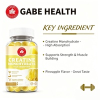 Gummies de créatine monohydrate à l'ananas, marque privée OEM, 60 unités, absorption élevée, force musculaire, endurance, fitness, logo personnalisé