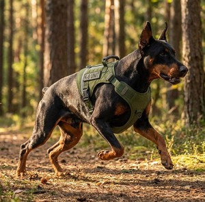 YooGo YG-566 Rompi Taktis untuk Anjing - Desain yang Dapat Disesuaikan untuk Mencegah Anjing Melarikan Diri - Product Image 4