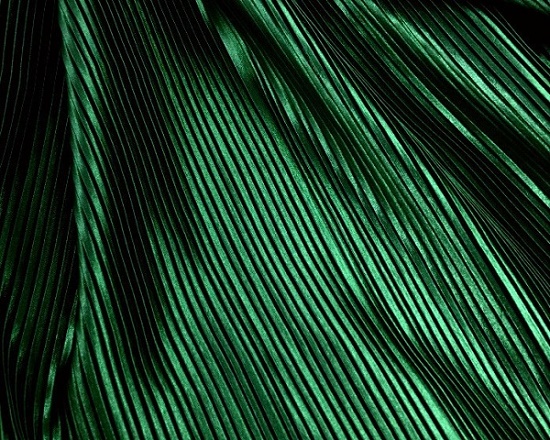 VERT NOIR