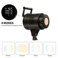 135W Metall-Porträt-Blitzstudio-Lampe Fotografie-LED-Videolicht mit Einstellbarer Farbtemperatur und Fernbedienung