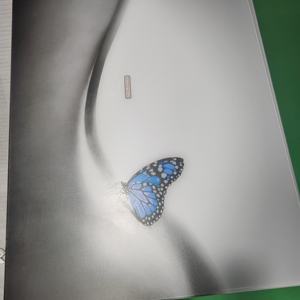 Peinture sur Toile Imprimée de Style Moderne Fait Main Femme Nue Sexy Peinture à l'Huile Sans Cadre Dame Corps Art Mural pour la Décoration de la Maison - Product Image 2