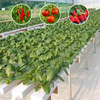 Système de canaux NFT multi-niveaux en PVC de qualité industrielle pour système hydroponique vertical de légumes-feuilles en serre