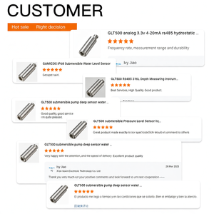 Transmetteur de niveau submersible pour eau, liquide et diesel, en acier inoxydable IP68, 4~20 mA, vente chaude en Europe et en Amérique - Product Image 6