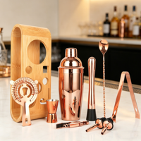 Ensemble de shaker à cocktails 12 pièces avec support, kit de mixologie pour barman, accessoires de bar essentiels pour bar à domicile