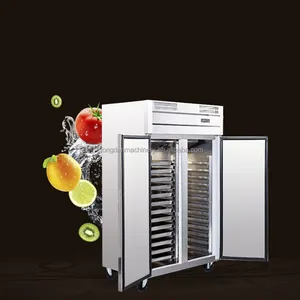 commercial -40 iqf freezing fan cooling stainless steel blast freezer Instant frozen chiller with trolley shock freeze for fish
