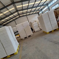 Cage de transfert en plastique pour petits oiseaux volailles vivantes caisse de transport pour poulet