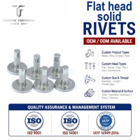 TianFang Aluminum Flat Headed Solid Rivets with Pineapple Pattern and Embossed Rivets Applied in Industry