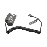 Batterie factice DMW-BLF19 pour caméra Panasoni GH5S/GH4/G9-Alimentation 12V Type-C PD, adaptateur secteur continu pour la diffusion en direct