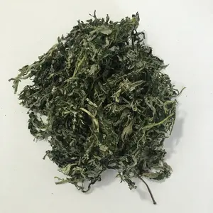 5005 Ai Ye grosir kualitas tinggi Wormwood daun teh kering Mugwort alami Artemisia Argyi teh